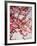 Cherry Blossoms I-Susan Bryant-Framed Photographic Print