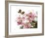 Cherry Blossoms II-Joy Doherty-Framed Giclee Print