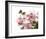 Cherry Blossoms II-Joy Doherty-Framed Giclee Print