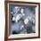 Cherry Blossoms II-Heather Johnston-Framed Giclee Print