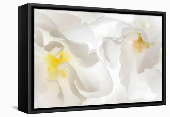 Cherry Blossoms II-Kathy Mahan-Framed Premier Image Canvas