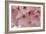 Cherry Blossoms II-Rita Crane-Framed Premium Giclee Print