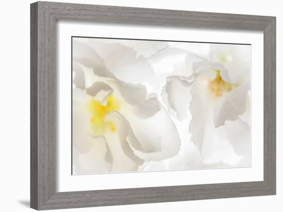 Cherry Blossoms II-Kathy Mahan-Framed Photographic Print