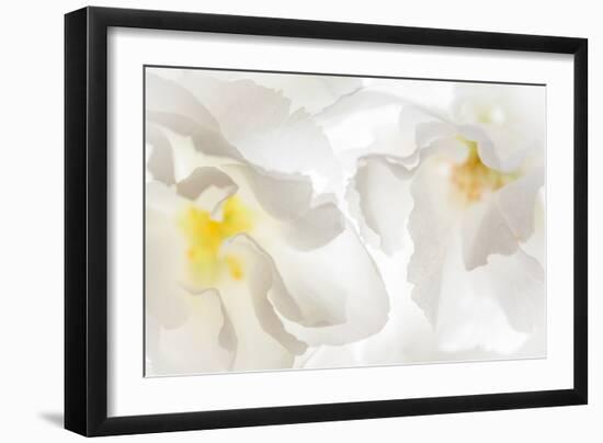 Cherry Blossoms II-Kathy Mahan-Framed Photographic Print