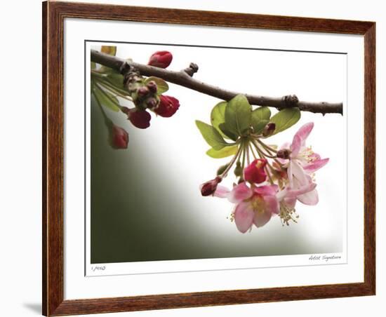 Cherry Blossoms III-Joy Doherty-Framed Giclee Print