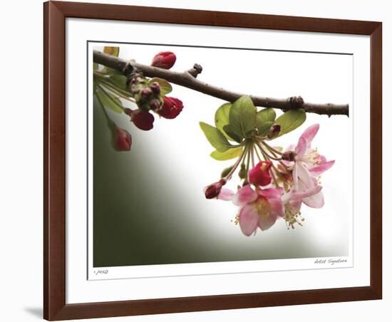 Cherry Blossoms III-Joy Doherty-Framed Giclee Print