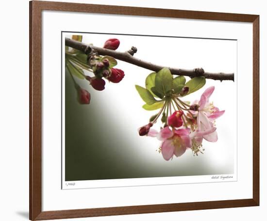 Cherry Blossoms III-Joy Doherty-Framed Giclee Print