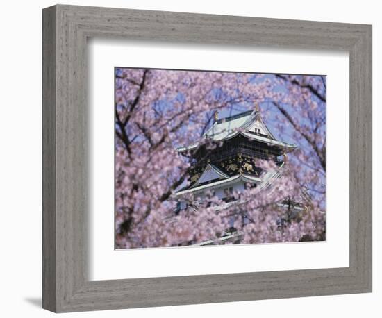 Cherry Blossoms in Front of Osaka Castle-Robert Essel-Framed Photographic Print