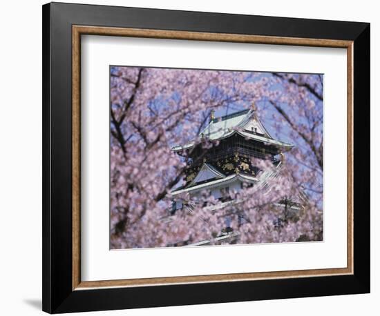 Cherry Blossoms in Front of Osaka Castle-Robert Essel-Framed Photographic Print