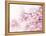 Cherry Blossoms in Full Bloom-landio-Framed Premier Image Canvas