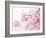 Cherry Blossoms in Full Bloom-landio-Framed Photographic Print