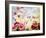 Cherry Blossoms In The Park-Mary Smith-Framed Giclee Print