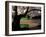 Cherry Blossoms in the University of Washington Quad, Seattle, Washington, USA-William Sutton-Framed Photographic Print