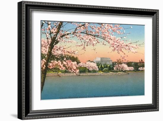 Cherry Blossoms, Lincoln Memorial, Washington D.C.-null-Framed Art Print