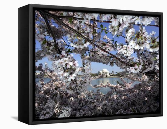 Cherry Blossoms Line the Tidal Basin-null-Framed Premier Image Canvas