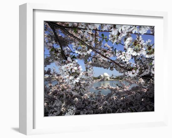 Cherry Blossoms Line the Tidal Basin-null-Framed Photographic Print