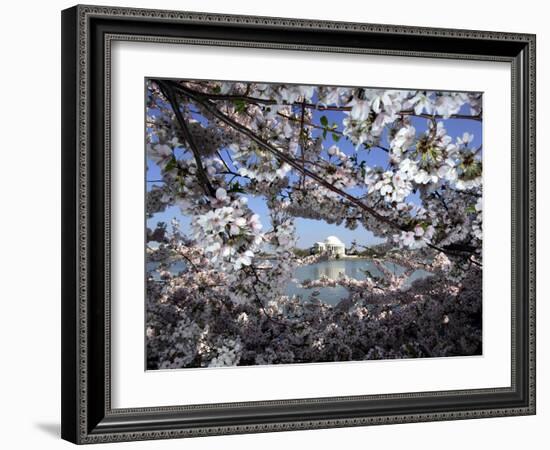 Cherry Blossoms Line the Tidal Basin-null-Framed Photographic Print