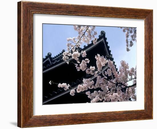 Cherry Blossoms, Matsue Castle, Shimane, Japan-null-Framed Photographic Print