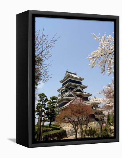 Cherry Blossoms, Matsumoto Castle, Matsumoto City, Nagano Prefecture, Honshu Island, Japan,Asia-Christian Kober-Framed Premier Image Canvas