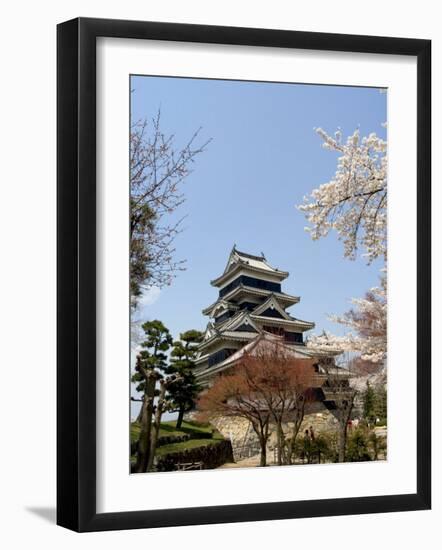 Cherry Blossoms, Matsumoto Castle, Matsumoto City, Nagano Prefecture, Honshu Island, Japan,Asia-Christian Kober-Framed Photographic Print