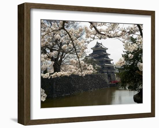 Cherry Blossoms, Matsumoto Castle, Matsumoto City, Nagano Prefecture, Honshu Island, Japan-Christian Kober-Framed Photographic Print