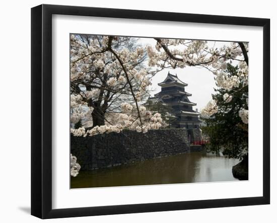 Cherry Blossoms, Matsumoto Castle, Matsumoto City, Nagano Prefecture, Honshu Island, Japan-Christian Kober-Framed Photographic Print