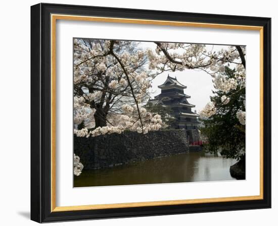 Cherry Blossoms, Matsumoto Castle, Matsumoto City, Nagano Prefecture, Honshu Island, Japan-Christian Kober-Framed Photographic Print