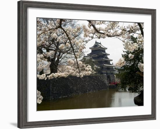 Cherry Blossoms, Matsumoto Castle, Matsumoto City, Nagano Prefecture, Honshu Island, Japan-Christian Kober-Framed Photographic Print