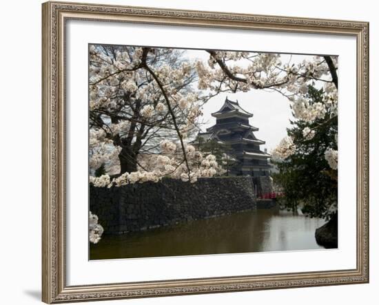 Cherry Blossoms, Matsumoto Castle, Matsumoto City, Nagano Prefecture, Honshu Island, Japan-Christian Kober-Framed Photographic Print