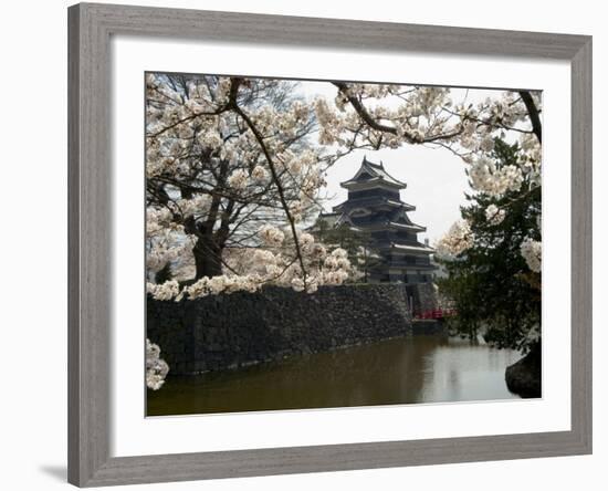 Cherry Blossoms, Matsumoto Castle, Matsumoto City, Nagano Prefecture, Honshu Island, Japan-Christian Kober-Framed Photographic Print