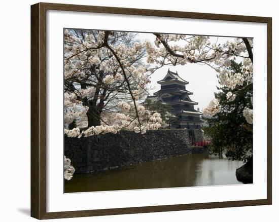 Cherry Blossoms, Matsumoto Castle, Matsumoto City, Nagano Prefecture, Honshu Island, Japan-Christian Kober-Framed Photographic Print