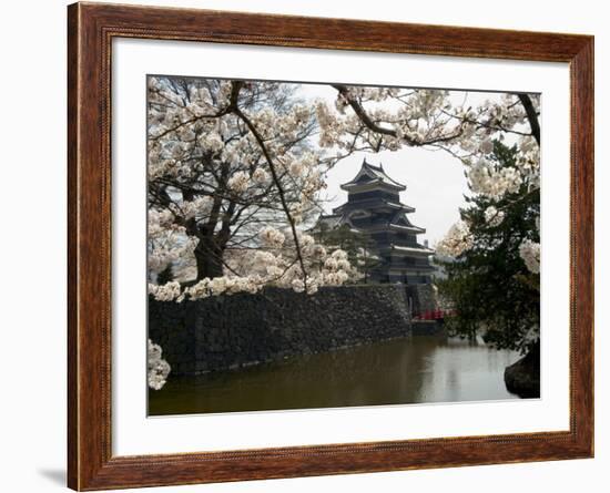 Cherry Blossoms, Matsumoto Castle, Matsumoto City, Nagano Prefecture, Honshu Island, Japan-Christian Kober-Framed Photographic Print