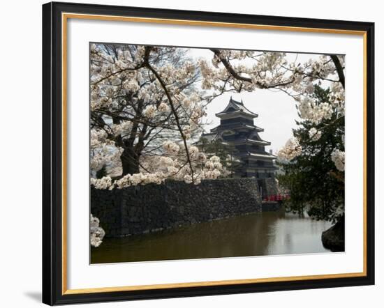 Cherry Blossoms, Matsumoto Castle, Matsumoto City, Nagano Prefecture, Honshu Island, Japan-Christian Kober-Framed Photographic Print