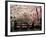 Cherry Blossoms, Mishima Taisha Shrine, Shizuoka-null-Framed Premium Photographic Print