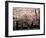 Cherry Blossoms, Mishima Taisha Shrine, Shizuoka-null-Framed Photographic Print