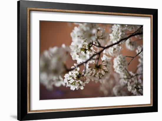 Cherry Blossoms On A Tree Branch At Night In Washington DC-Karine Aigner-Framed Photographic Print