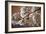 Cherry Blossoms On A Tree Branch At Night In Washington DC-Karine Aigner-Framed Photographic Print