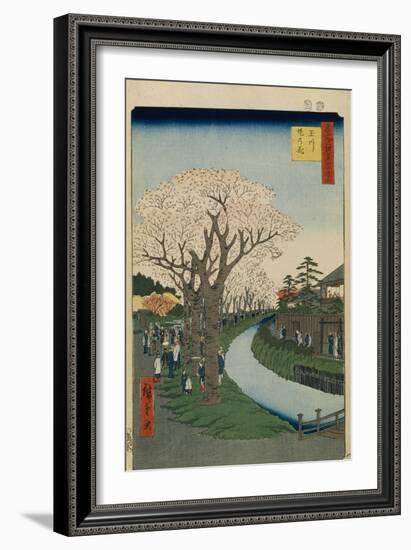 Cherry Blossoms on the Banks of the Tama River (One Hundred Famous Views of Ed), 1856-1858-Utagawa Hiroshige-Framed Giclee Print