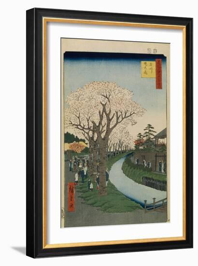 Cherry Blossoms on the Banks of the Tama River (One Hundred Famous Views of Ed), 1856-1858-Utagawa Hiroshige-Framed Giclee Print