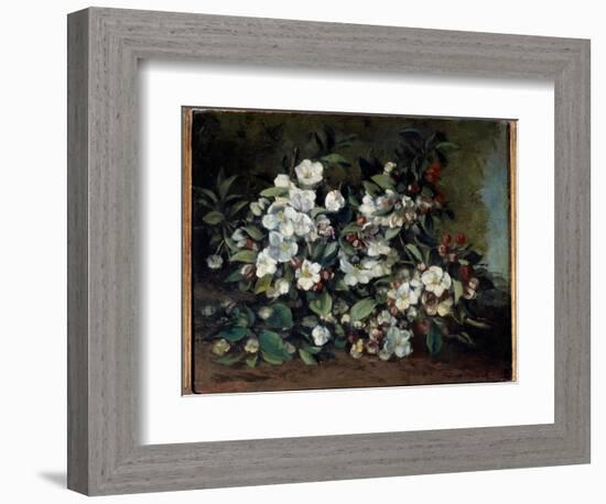 Cherry Blossoms or Apple Branches in Bloom. Painting by Gustave Courbet (1819-1877), 1871. Oil on C-Gustave Courbet-Framed Giclee Print