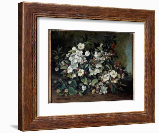 Cherry Blossoms or Apple Branches in Bloom. Painting by Gustave Courbet (1819-1877), 1871. Oil on C-Gustave Courbet-Framed Giclee Print