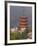 Cherry Blossoms (Sakura) and Famous Five-Storey Pagoda Dating from 1407, Island of Honshu, Japan-Gavin Hellier-Framed Photographic Print