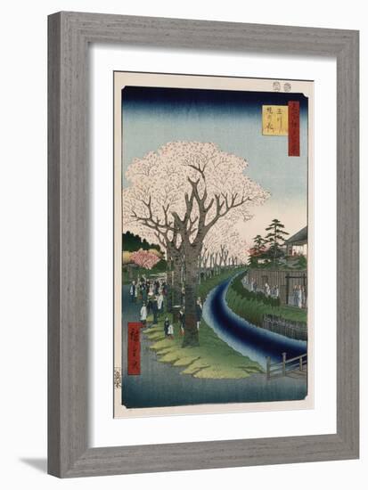 Cherry Blossoms, Tama River Embankment-Ando Hiroshige-Framed Giclee Print