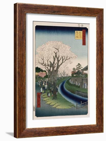 Cherry Blossoms, Tama River Embankment-Ando Hiroshige-Framed Giclee Print