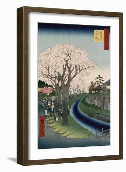 Cherry Blossoms, Tama River Embankment-Utagawa Hiroshige-Framed Giclee Print