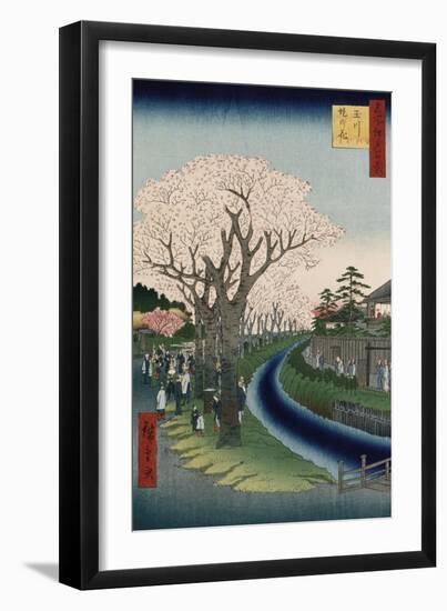 Cherry Blossoms, Tama River Embankment-Utagawa Hiroshige-Framed Giclee Print