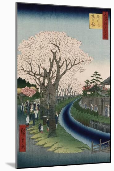 Cherry Blossoms, Tama River Embankment-Utagawa Hiroshige-Mounted Giclee Print