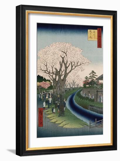 Cherry Blossoms, Tama River Embankment-Utagawa Hiroshige-Framed Giclee Print