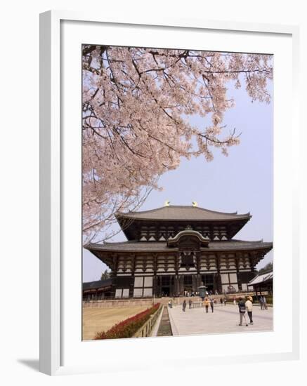 Cherry Blossoms, the Great Buddha Hall, Todaiji Temple, Nara, Honshu Island, Japan-Christian Kober-Framed Photographic Print