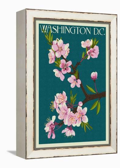 Cherry Blossoms - Washington DC-Lantern Press-Framed Stretched Canvas